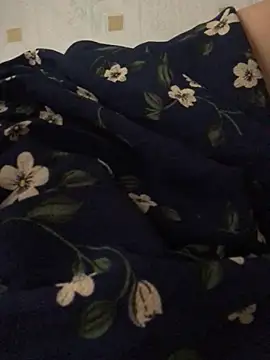 Ari-019 webcam