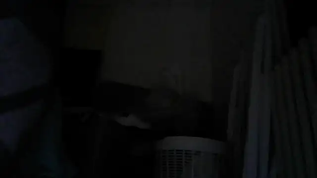 Analove1976 webcam