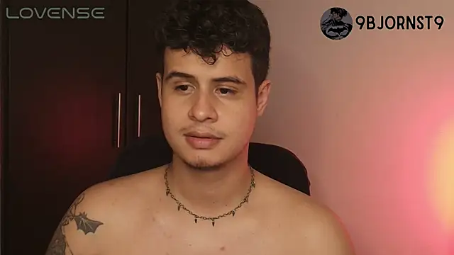 BjornSteel webcam