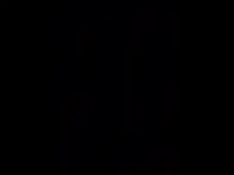 chronic_vibez