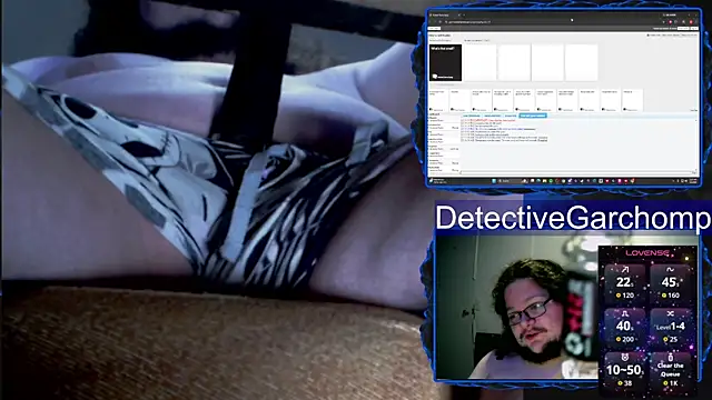 DetChompy webcam