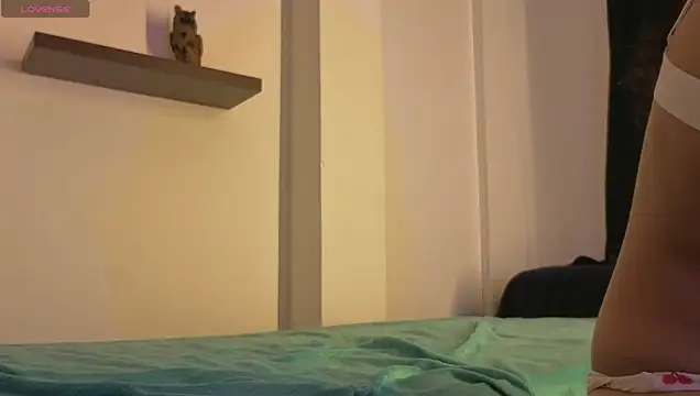 Miniadelf webcam