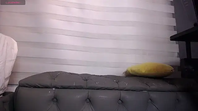 dirty_27cms webcam