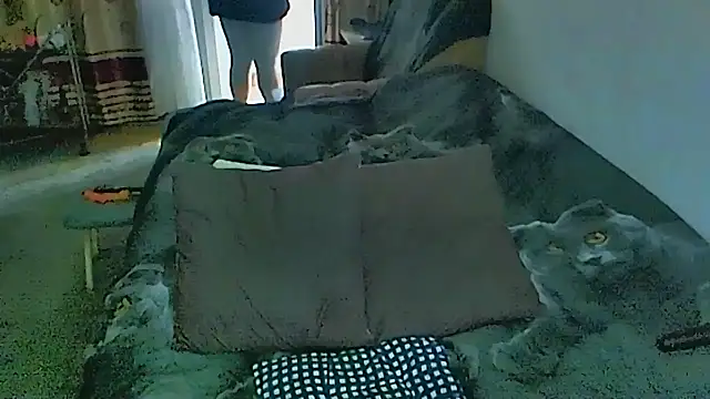 sex2 webcam