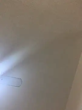 Catmila94 webcam