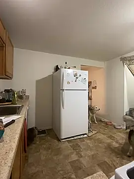 ThornsandHoney webcam