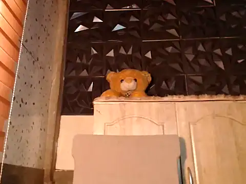 Urbetterhalf_sBIGCOCK webcam