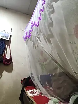 he-se-kin webcam
