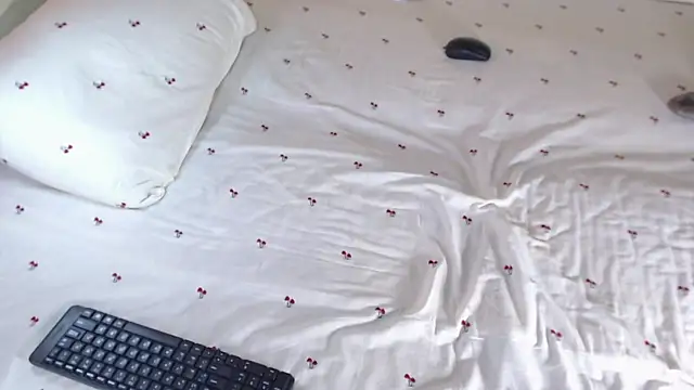 Q_T_pie webcam