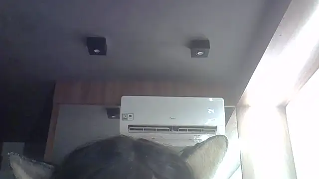 SkinnyKitten webcam