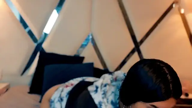MeelFox webcam