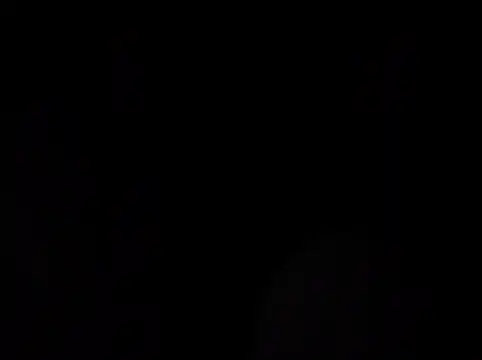 Preview of chronic_vibez