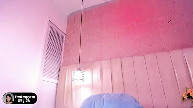avy_st webcam