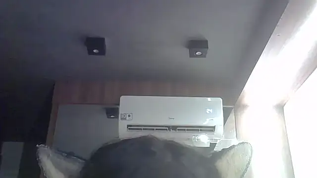 SkinnyKitten webcam