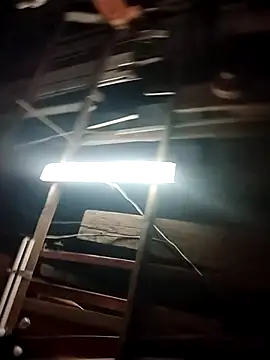 Reddog833 webcam