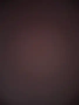 TheDime webcam
