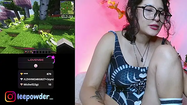LeePowder webcam