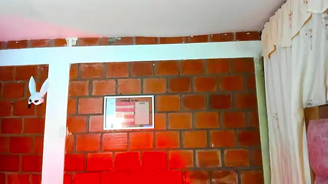 AkiraHeat webcam