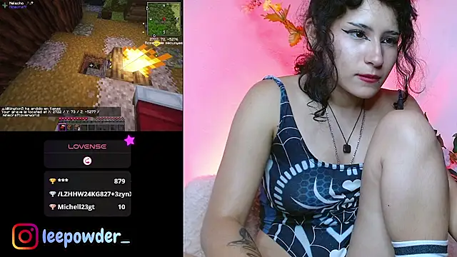 LeePowder webcam
