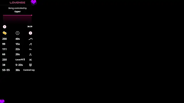 linbaelin webcam