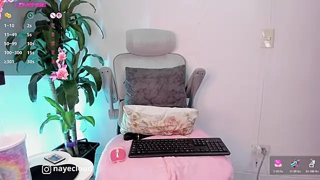 NayeCloud webcam