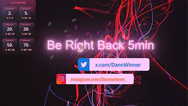 Dann-Winner webcam