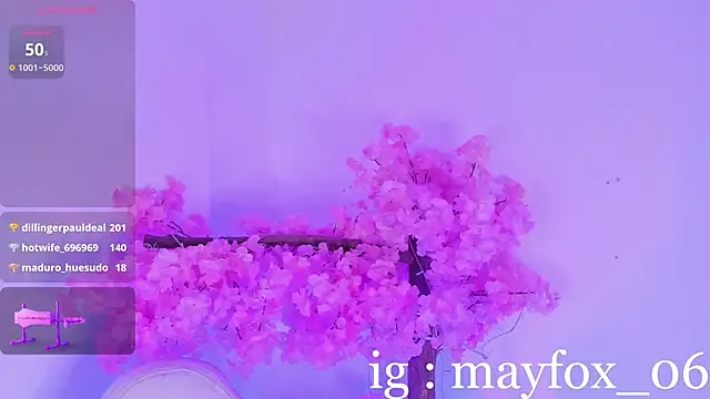 May_Fox_ webcam