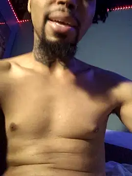 Painstickwes webcam