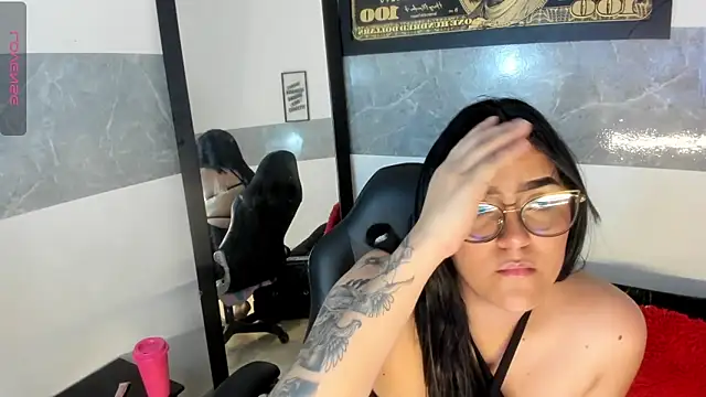 any_vlenmor webcam