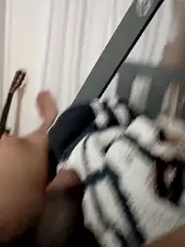 Brickstash webcam