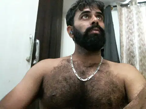 indianhairybull webcam