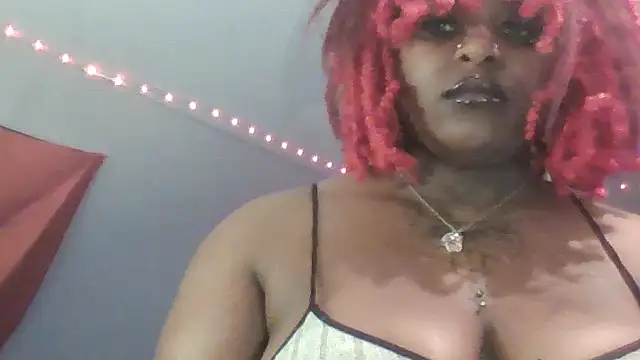 Dusaa_ webcam