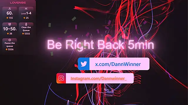 Dann-Winner webcam