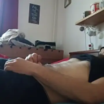 bardiauto webcam