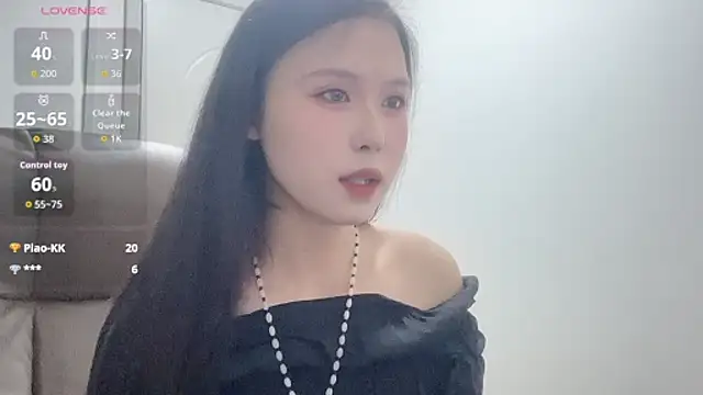 -LINXI webcam