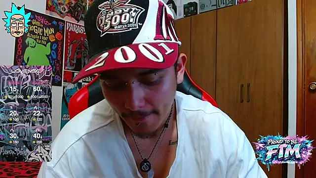 Hgp3riodictabl3 webcam