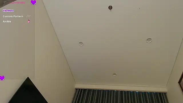 linbaelin webcam