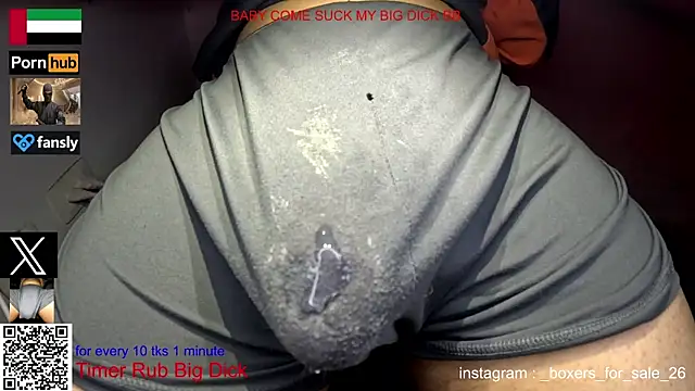 bfs26 webcam