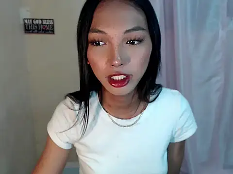 SimiLause webcam