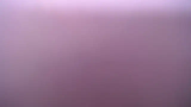 salomecastro_ webcam