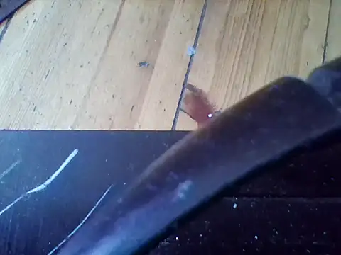 Bigheadxxx1 webcam