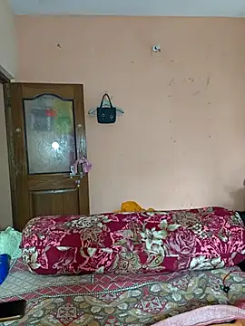 adite20 webcam