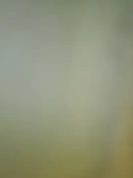 Amelia9798 webcam