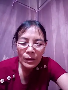 toyo_668 webcam