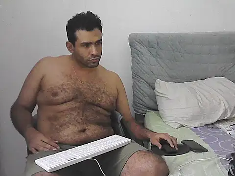 IronSideBear webcam