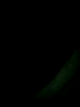 him220 webcam