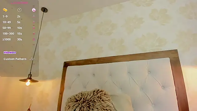 clarisKlein webcam