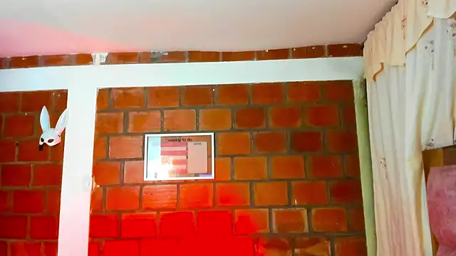 AkiraHeat webcam