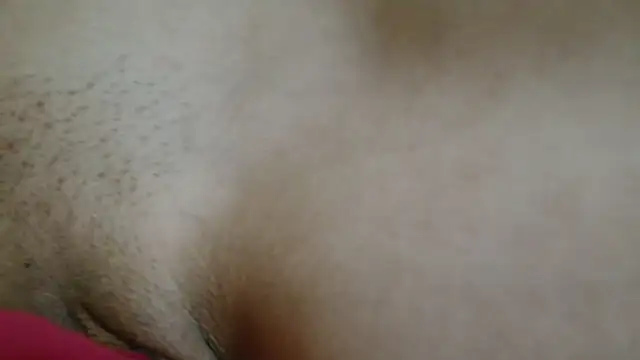 3littles webcam