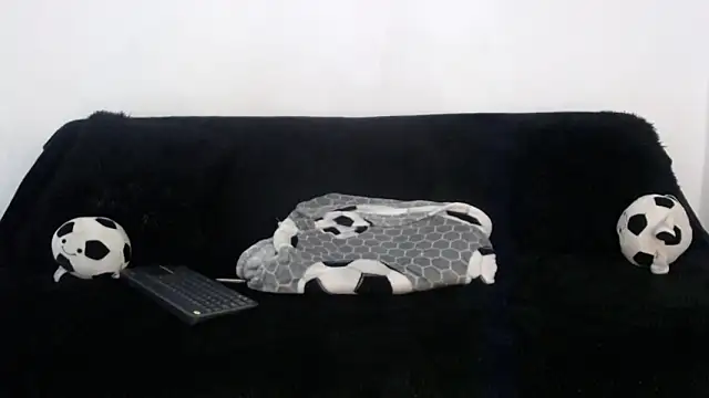 Steilormuller66 webcam